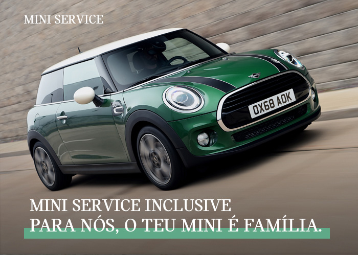 MINI SERVICE INCLUSIVE
